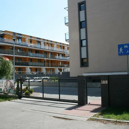 Grey & White Pogodne *